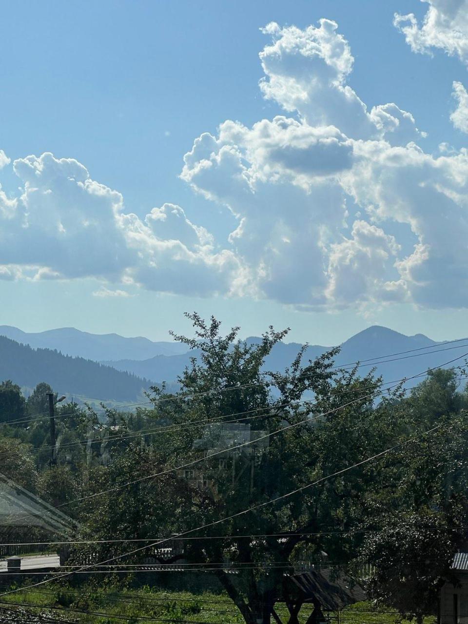 Domashnya Oselya Διαμέρισμα Verkhovyna Εξωτερικό φωτογραφία